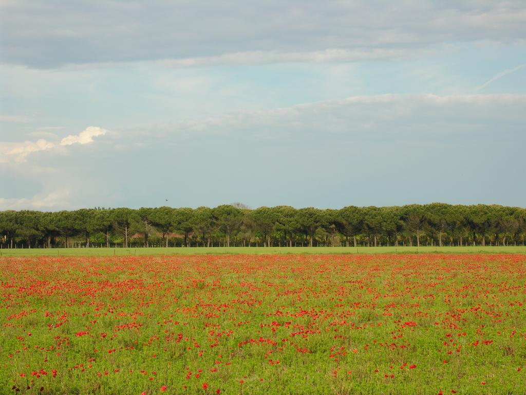 Appartamenti Villaggio San Siro Bibione Kültér fotó